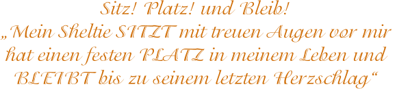 Sitz! Platz! und Bleib! Mein Sheltie SITZT mit treuen Augen vor mir  hat einen festen PLATZ in meinem Leben und  BLEIBT bis zu seinem letzten Herzschlag