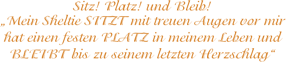 Sitz! Platz! und Bleib! Mein Sheltie SITZT mit treuen Augen vor mir  hat einen festen PLATZ in meinem Leben und  BLEIBT bis zu seinem letzten Herzschlag
