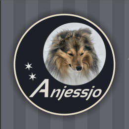 Anjessjo